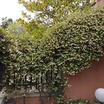 Casabella